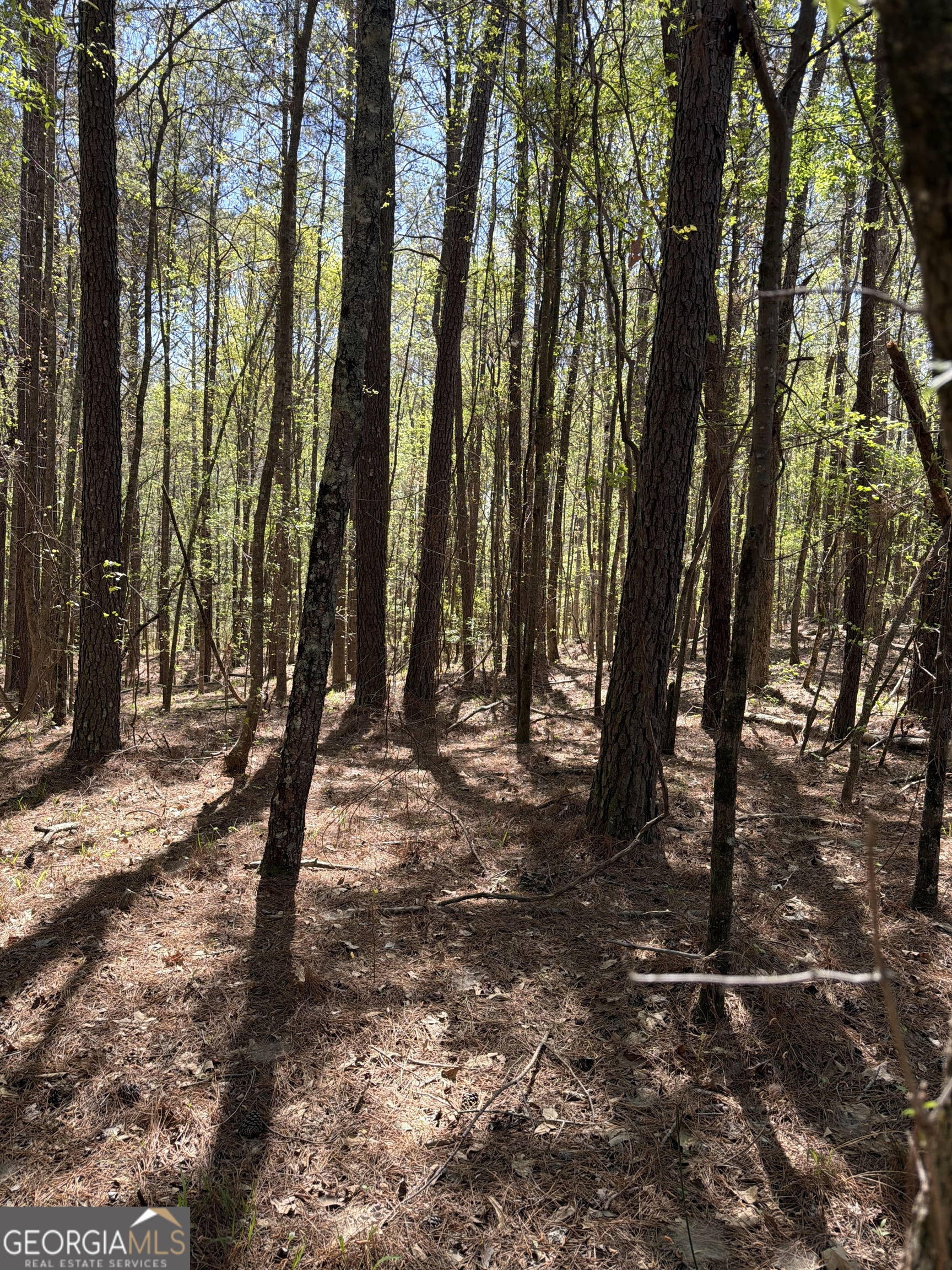 0 Old Union Point Road Greensboro, GA 30642 - Photo 3 of 5