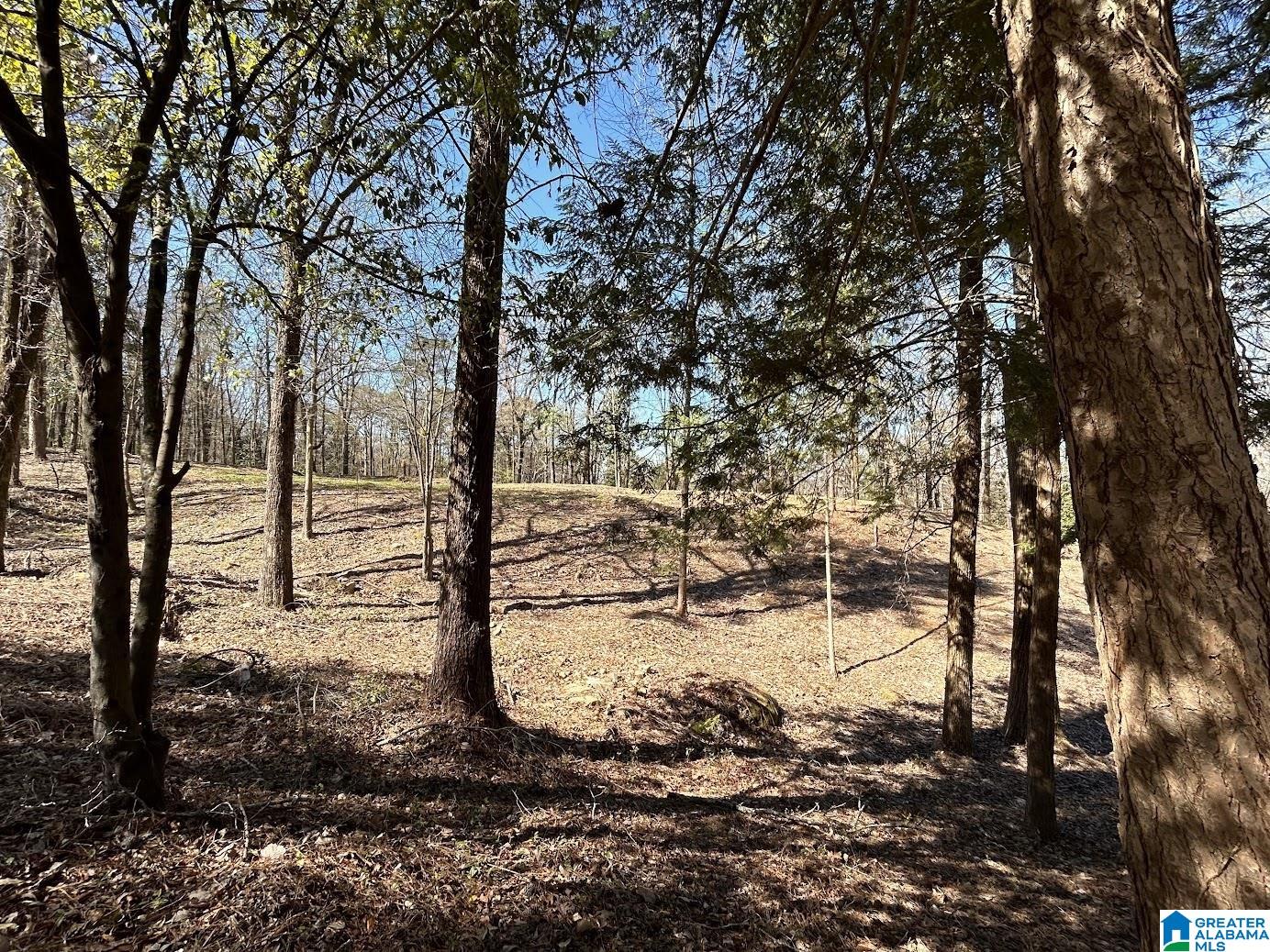 3300 Sherwood Road Birmingham, AL 35223 - Photo 12 of 16
