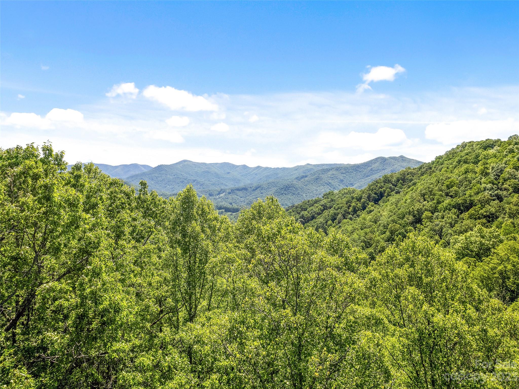 0 Walnut Ridge Drive, Unit 7 & 8 Clyde, NC 28721 - Photo 1 of 26 a view of a lush green field with mountains in the background