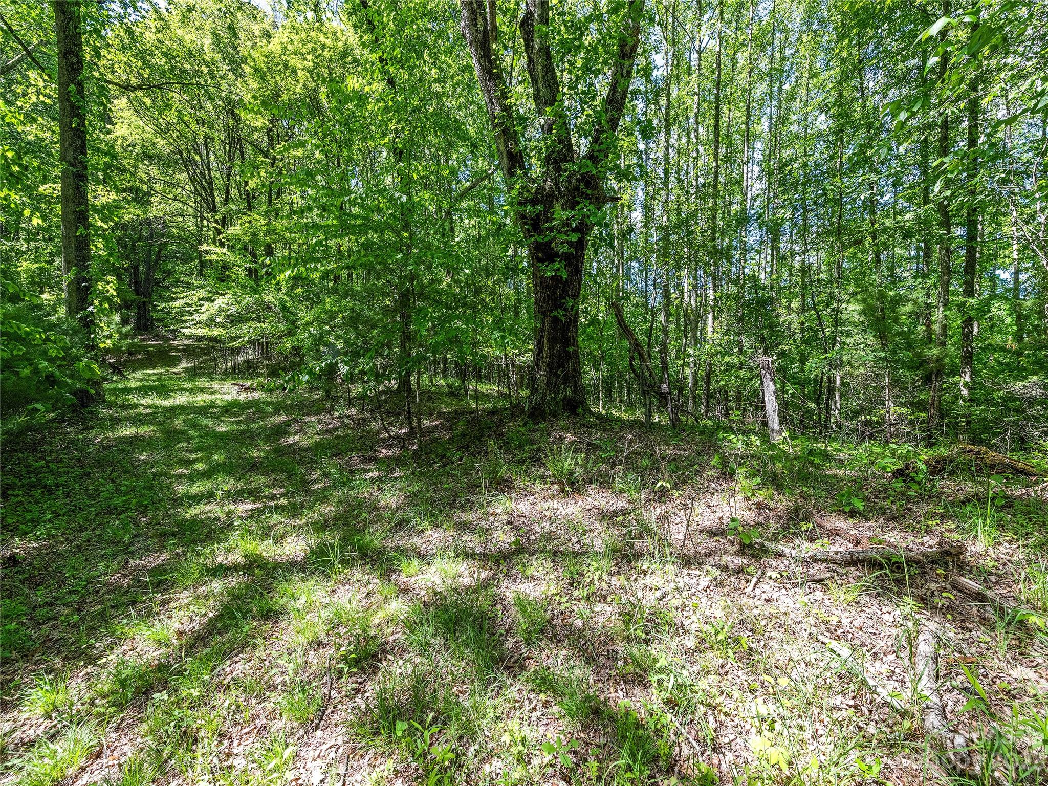 0 Walnut Ridge Drive, Unit 7 & 8 Clyde, NC 28721 - Photo 11 of 26 a view of outdoor space and green space