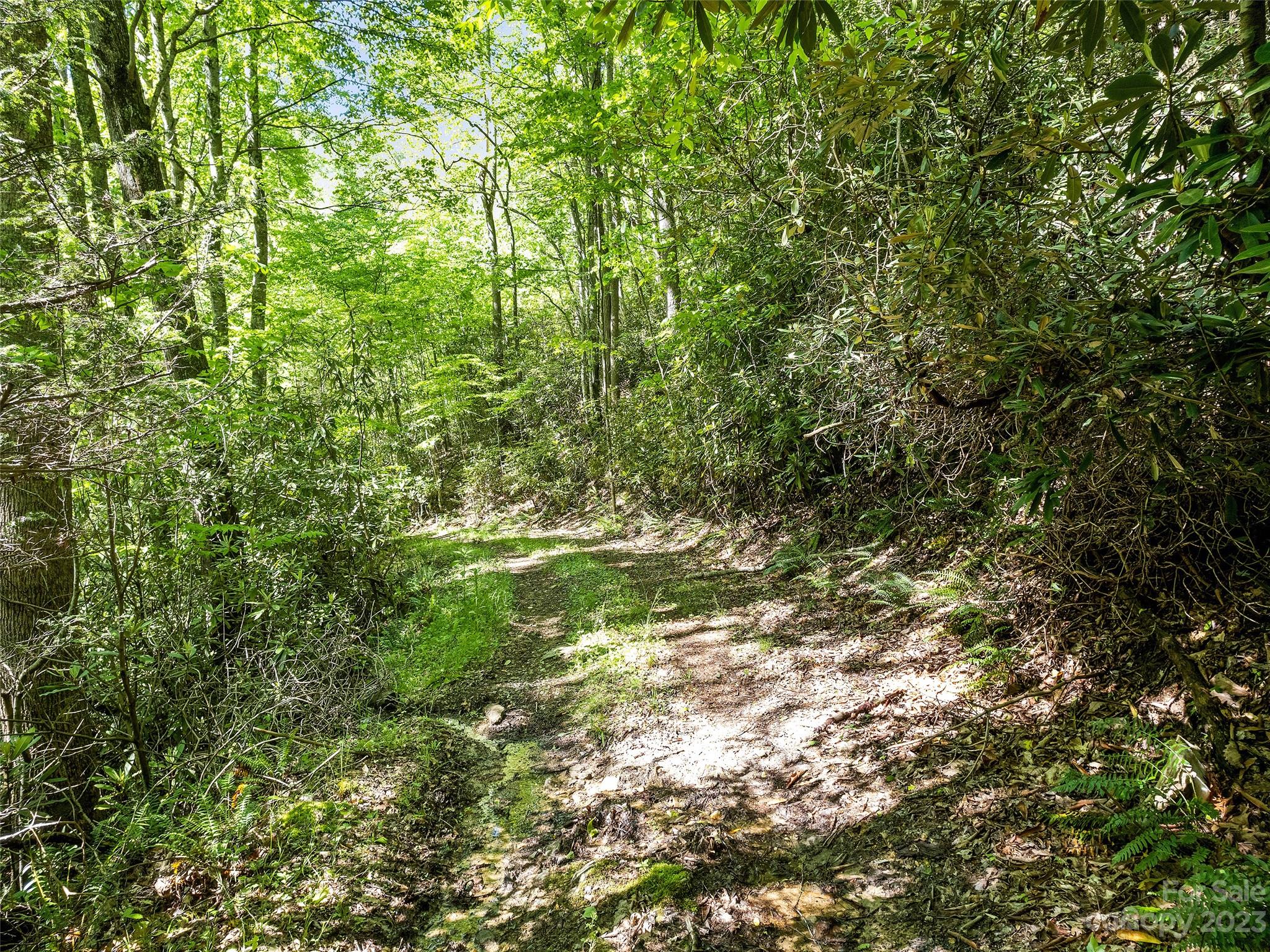 0 Walnut Ridge Drive, Unit 7 & 8 Clyde, NC 28721 - Photo 12 of 26