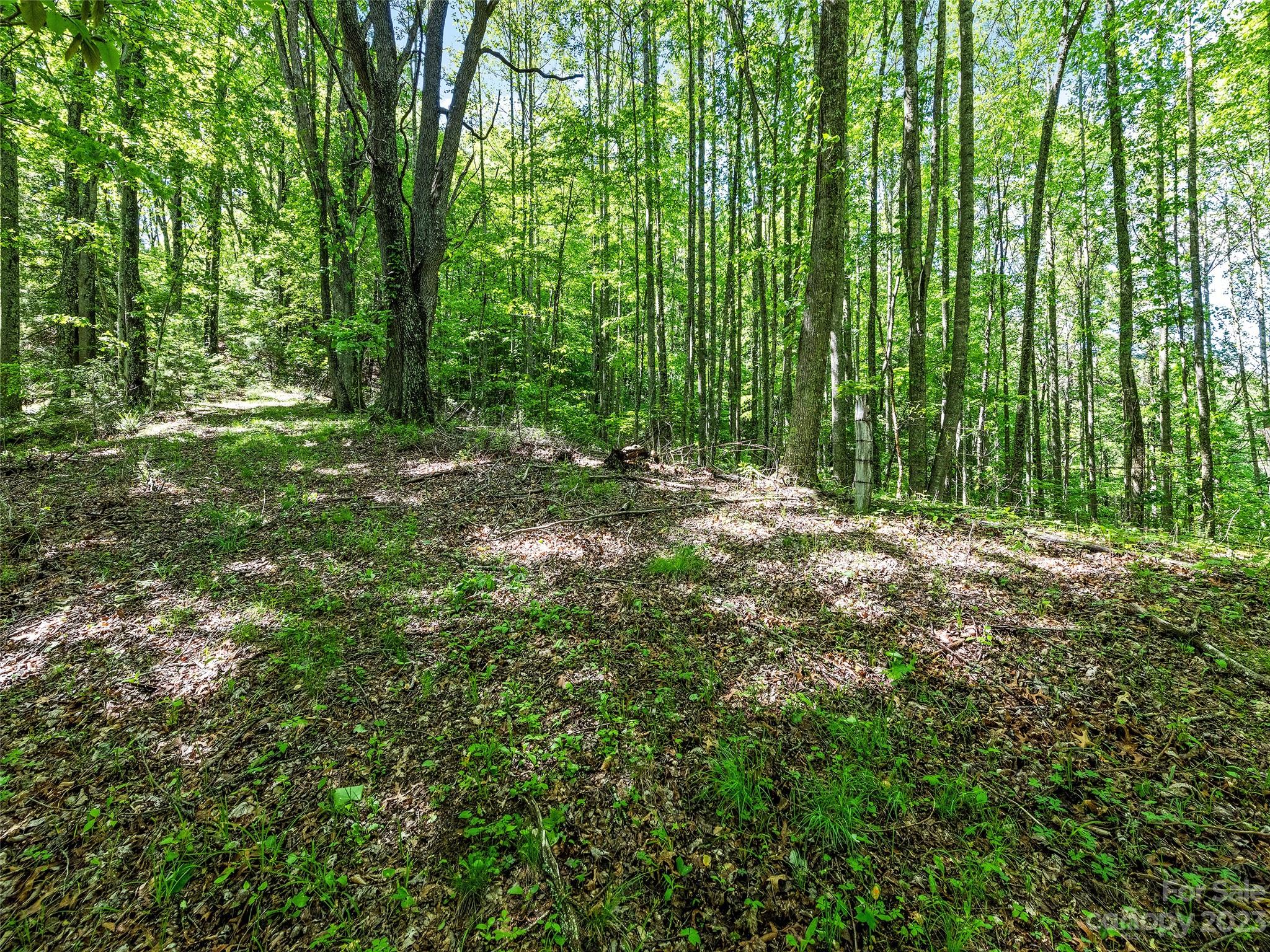 0 Walnut Ridge Drive, Unit 7 & 8 Clyde, NC 28721 - Photo 14 of 26 a view of outdoor space and trees
