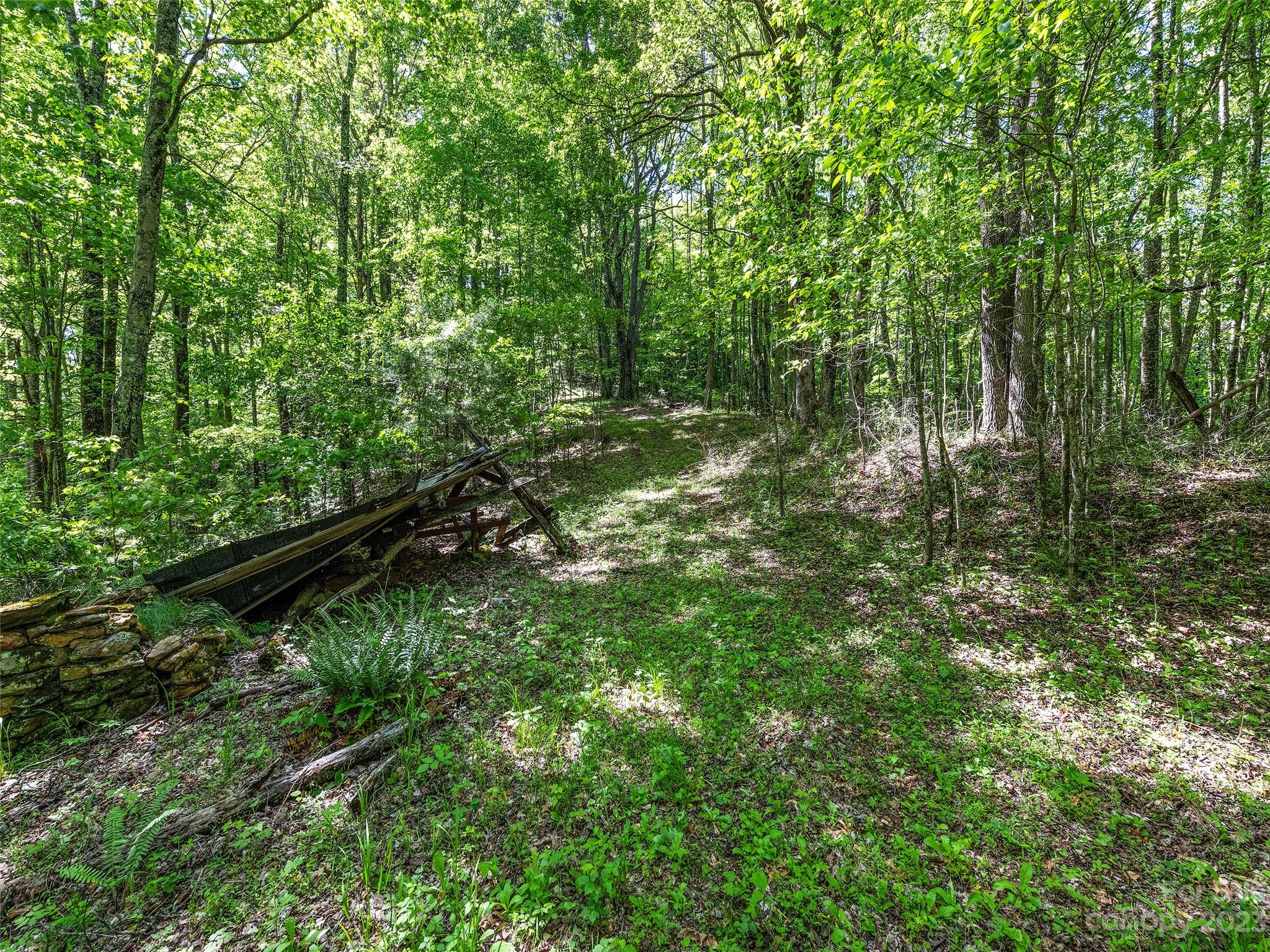 0 Walnut Ridge Drive, Unit 7 & 8 Clyde, NC 28721 - Photo 18 of 26 a view of a green field with lots of bushes