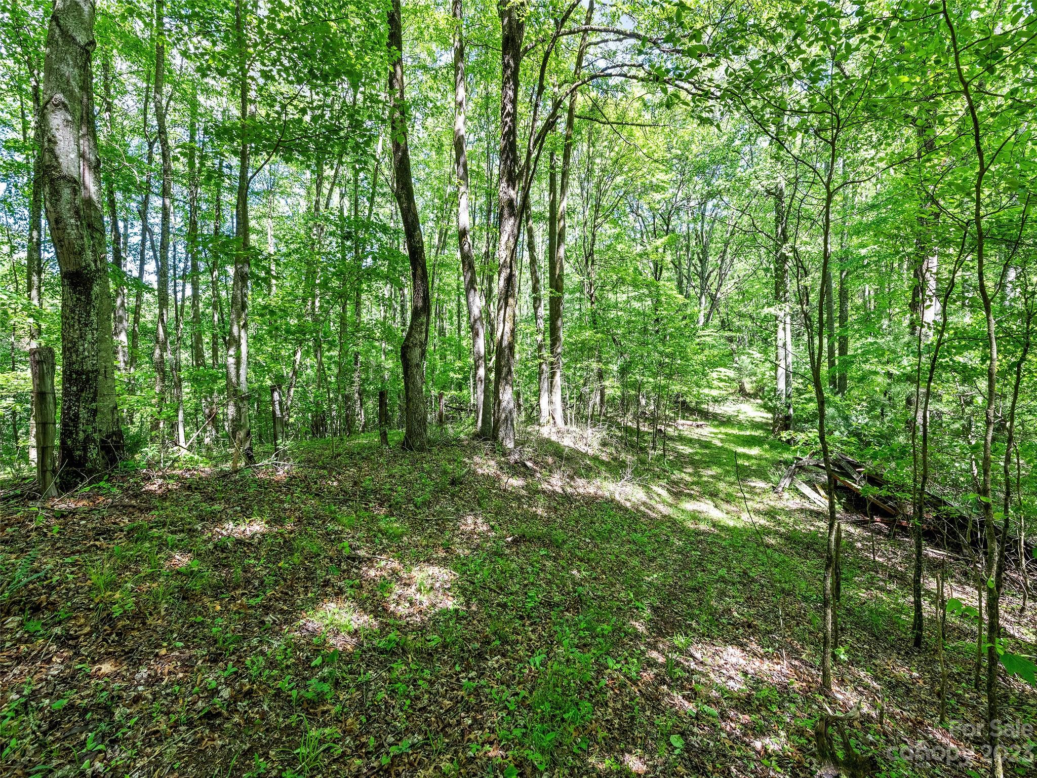 0 Walnut Ridge Drive, Unit 7 & 8 Clyde, NC 28721 - Photo 19 of 26 a view of outdoor space and trees