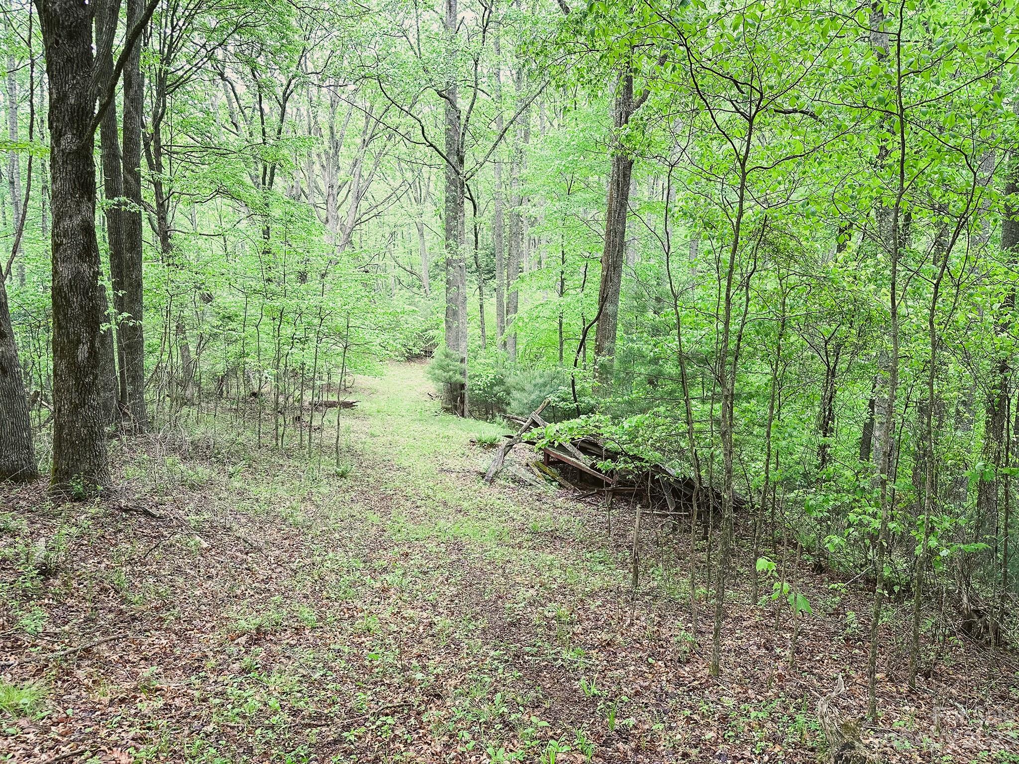 0 Walnut Ridge Drive, Unit 7 & 8 Clyde, NC 28721 - Photo 24 of 26 a view of outdoor space and trees