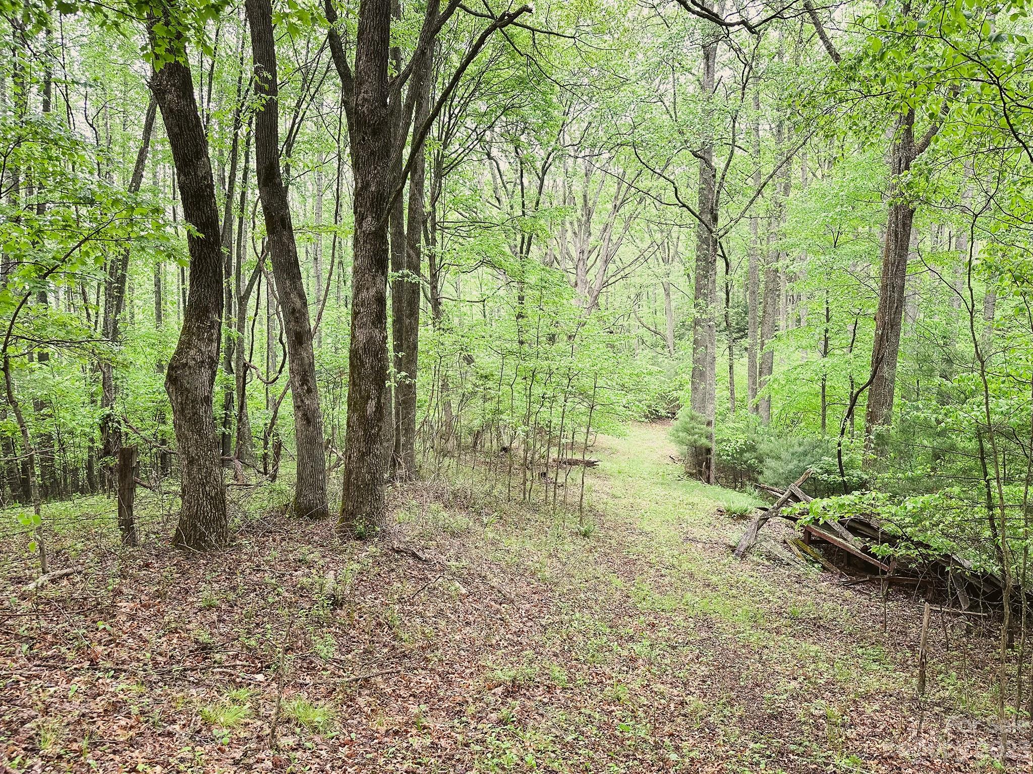 0 Walnut Ridge Drive, Unit 7 & 8 Clyde, NC 28721 - Photo 25 of 26 a view of outdoor space and trees