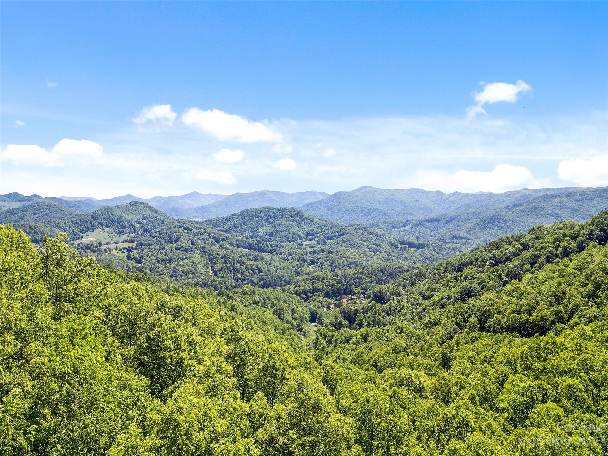 0 Walnut Ridge Drive, Unit 7 & 8 Clyde, NC 28721 - Photo 3 of 26 a view of a lush green field with mountains in the background