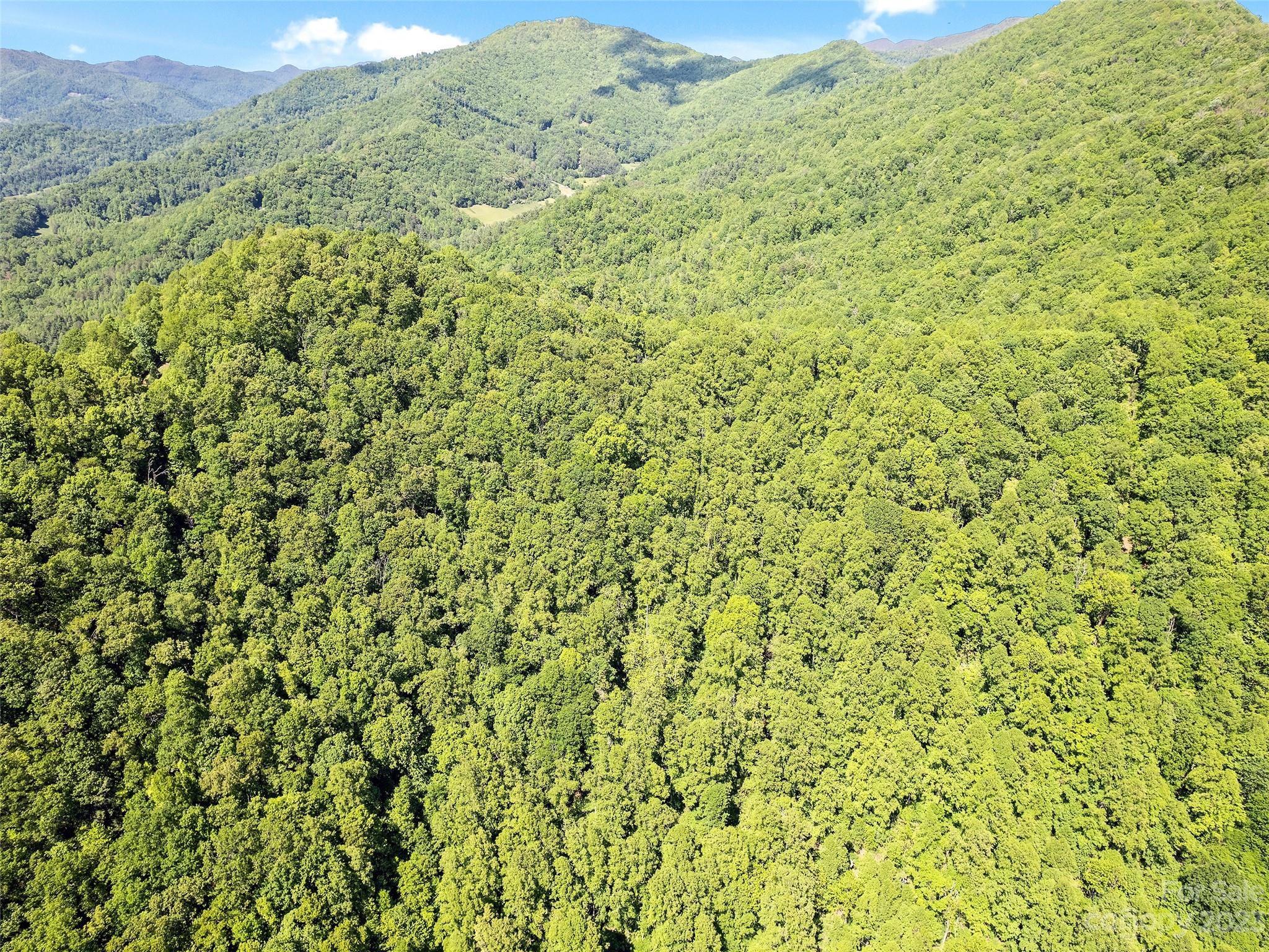 0 Walnut Ridge Drive, Unit 7 & 8 Clyde, NC 28721 - Photo 4 of 26 a view of a forest with a small yard