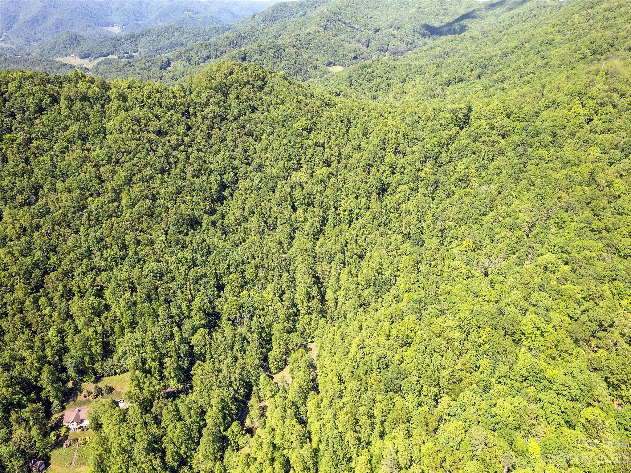 0 Walnut Ridge Drive, Unit 7 & 8 Clyde, NC 28721 - Photo 5 of 26 a close up of a plant in a yard