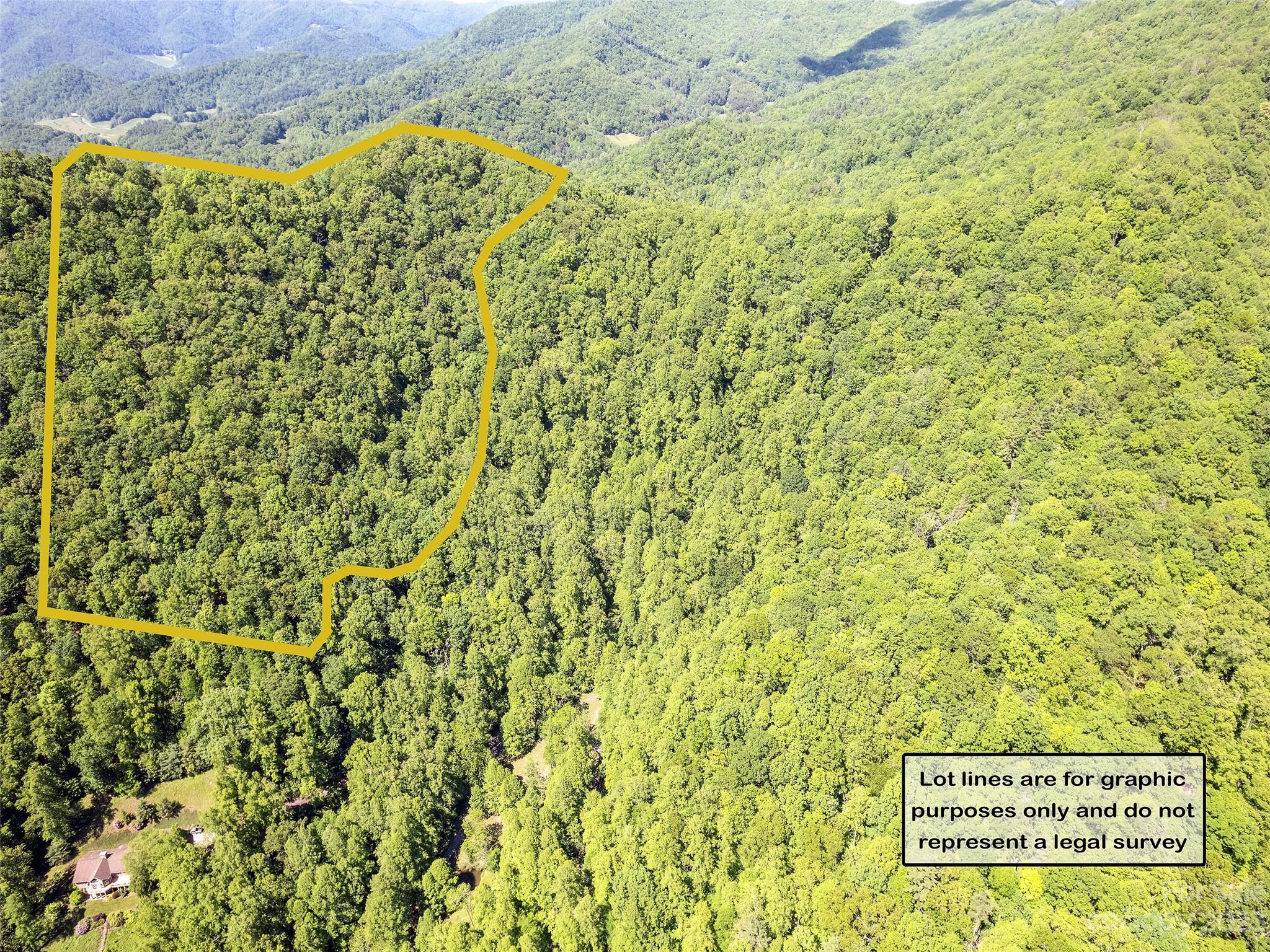 0 Walnut Ridge Drive, Unit 7 & 8 Clyde, NC 28721 - Photo 8 of 26 a view of a bunch of flowers and tree