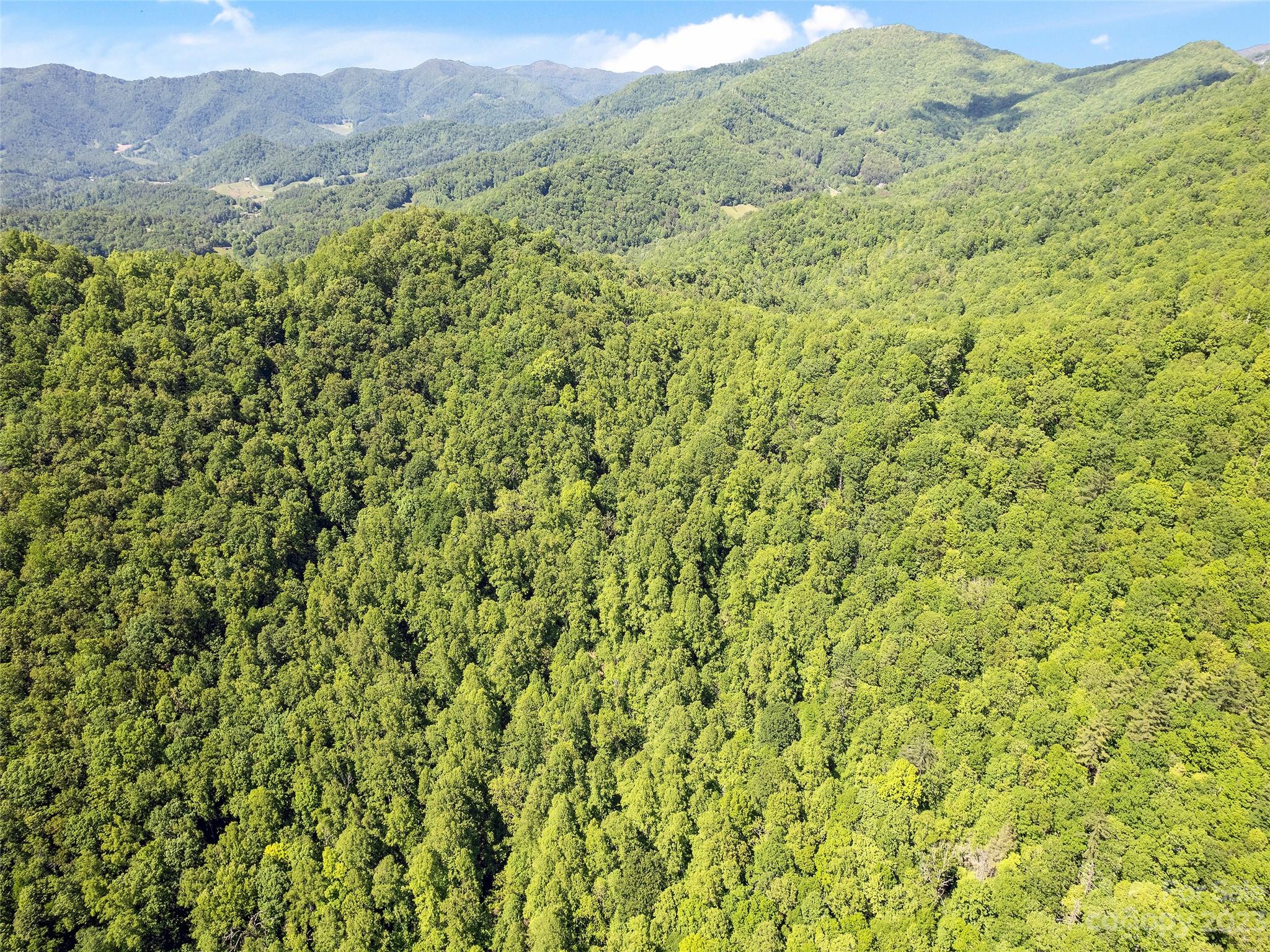 0 Walnut Ridge Drive, Unit 7 & 8 Clyde, NC 28721 - Photo 10 of 26 a view of a forest with a mountain