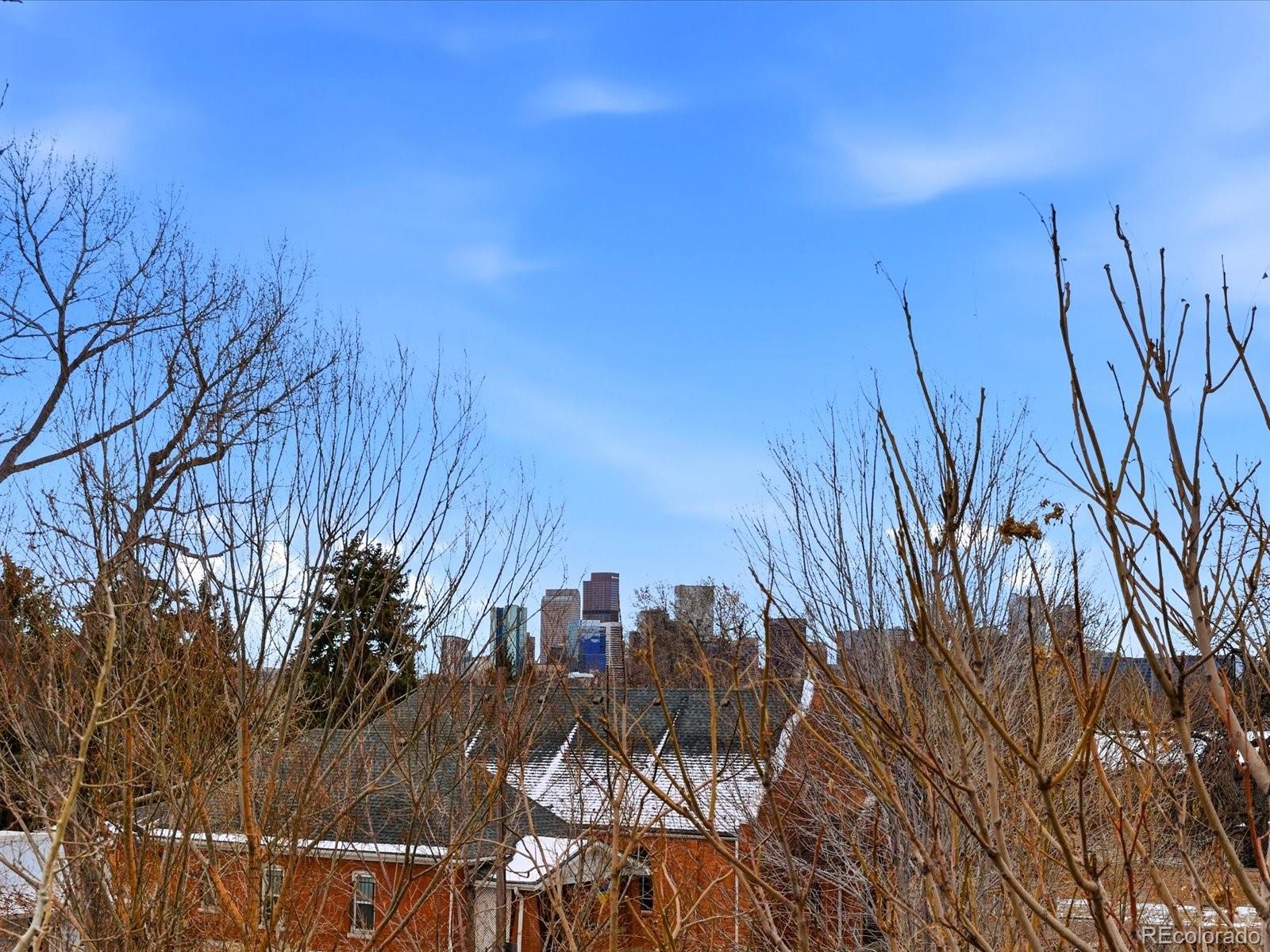 4141 Shoshone Street Denver, CO 80211 - Photo 44 of 50 a view of a yard with plants and trees