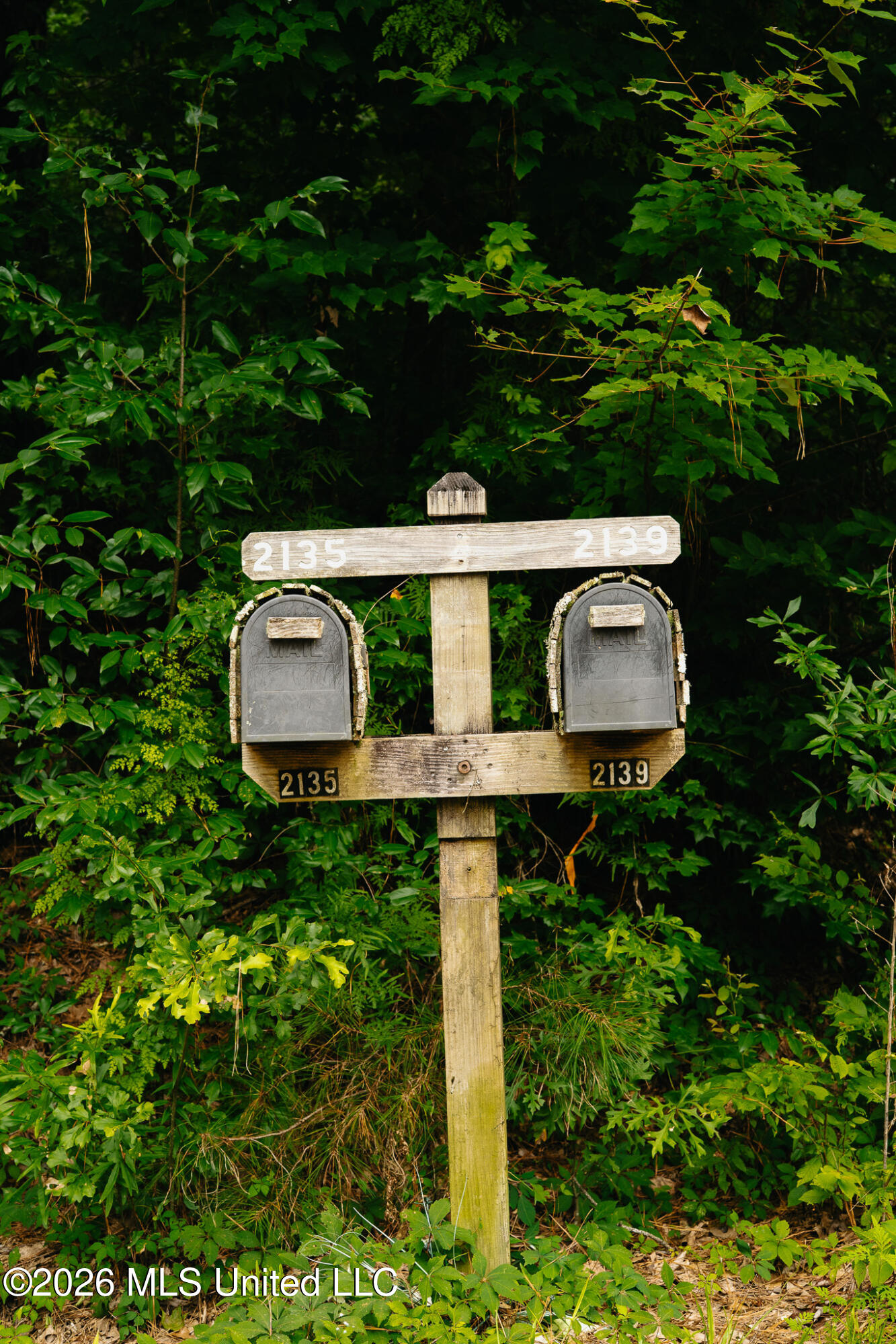 2139 Warren Hood Road Hermanville, MS 39086 - Photo 95 of 115 Mailboxes