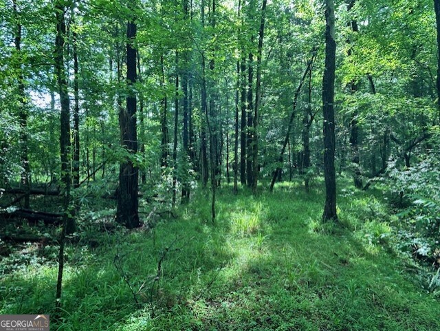 0 Silas Mercer Road Northeast Crawfordville, GA 30631 - Photo 10 of 12