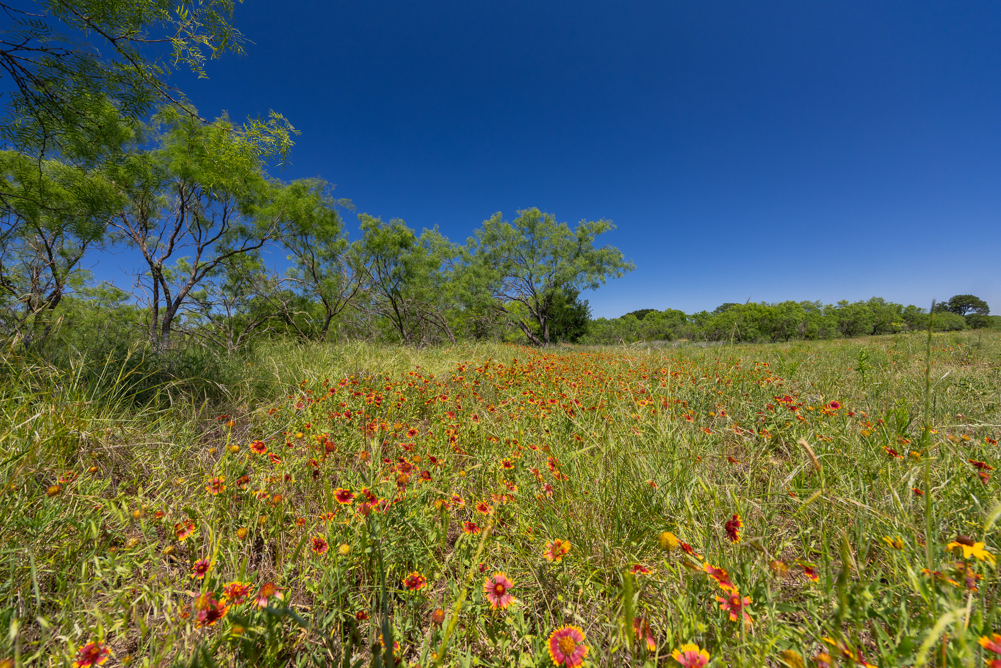 180 Rolling Pond Ranch Road Purmela, TX 76566 - Photo 6 of 21
