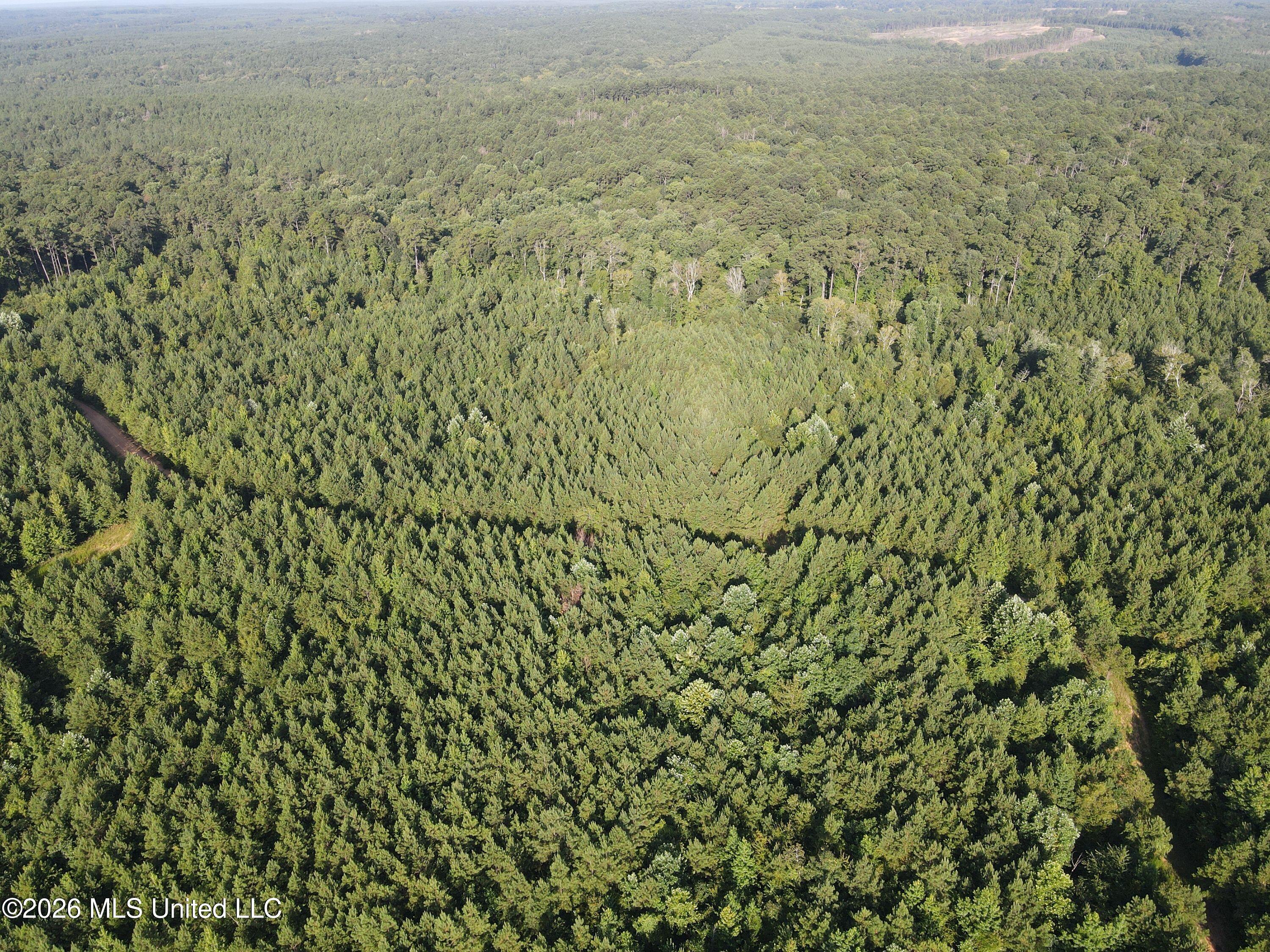 Cupit Rd Union Union Church, MS 39668 - Photo 23 of 61 DJI_0729