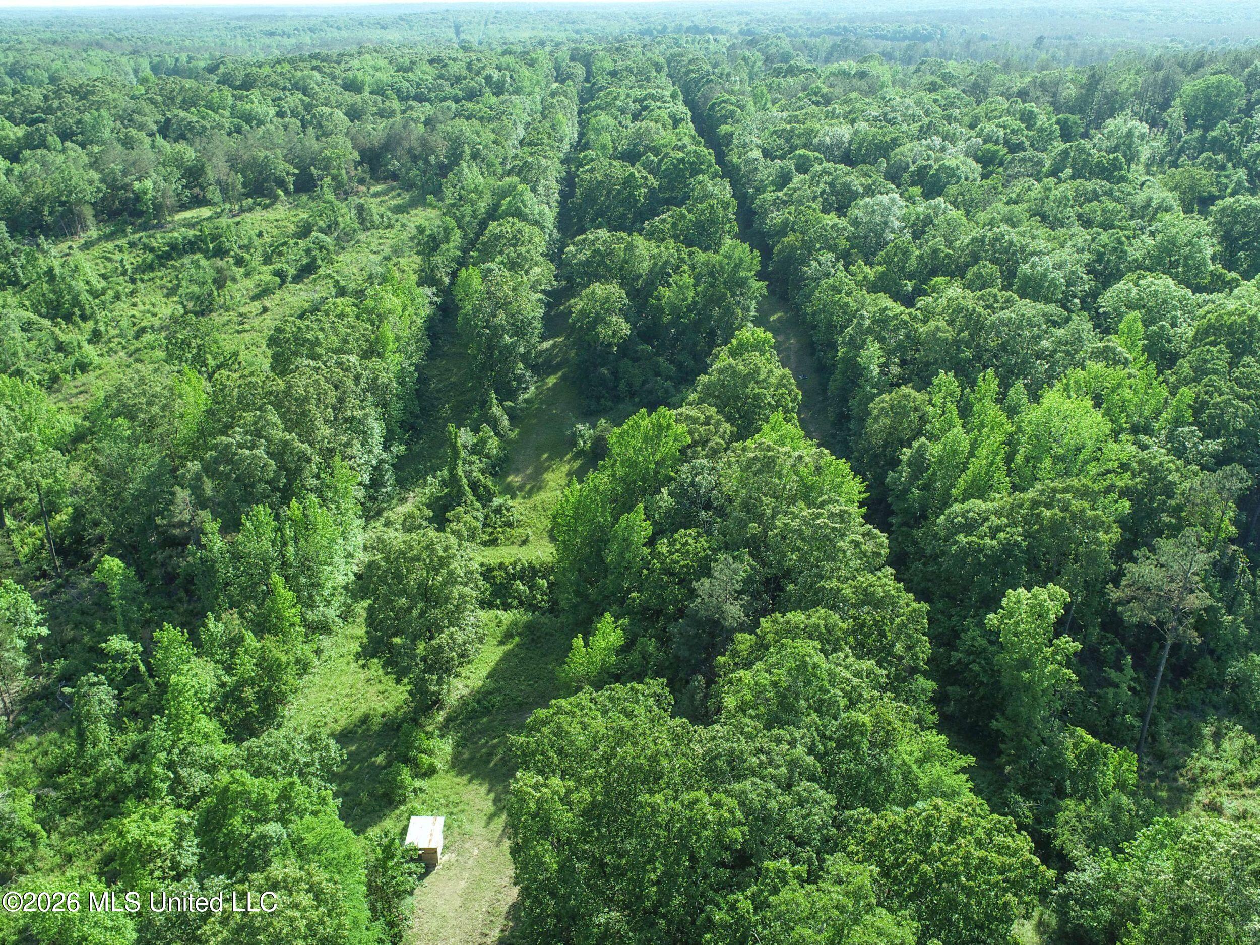 Wayne Massie Road Como, MS 38619 - Photo 64 of 184 3ctwmrd46