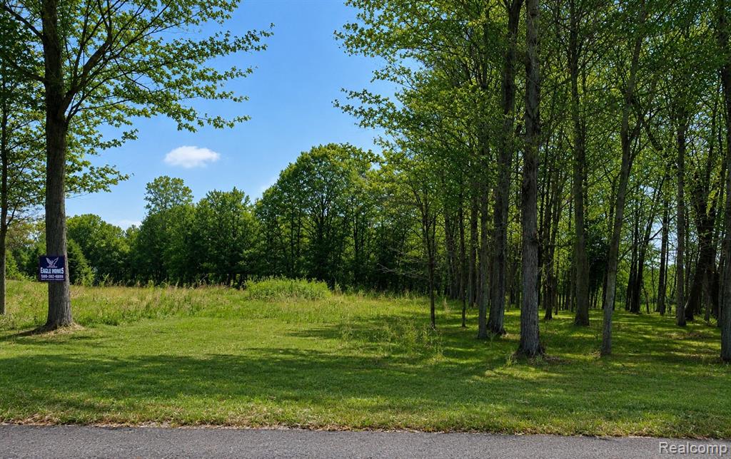 4171 Belle Ridge Drive Dryden, MI 48428 - Photo 5 of 22