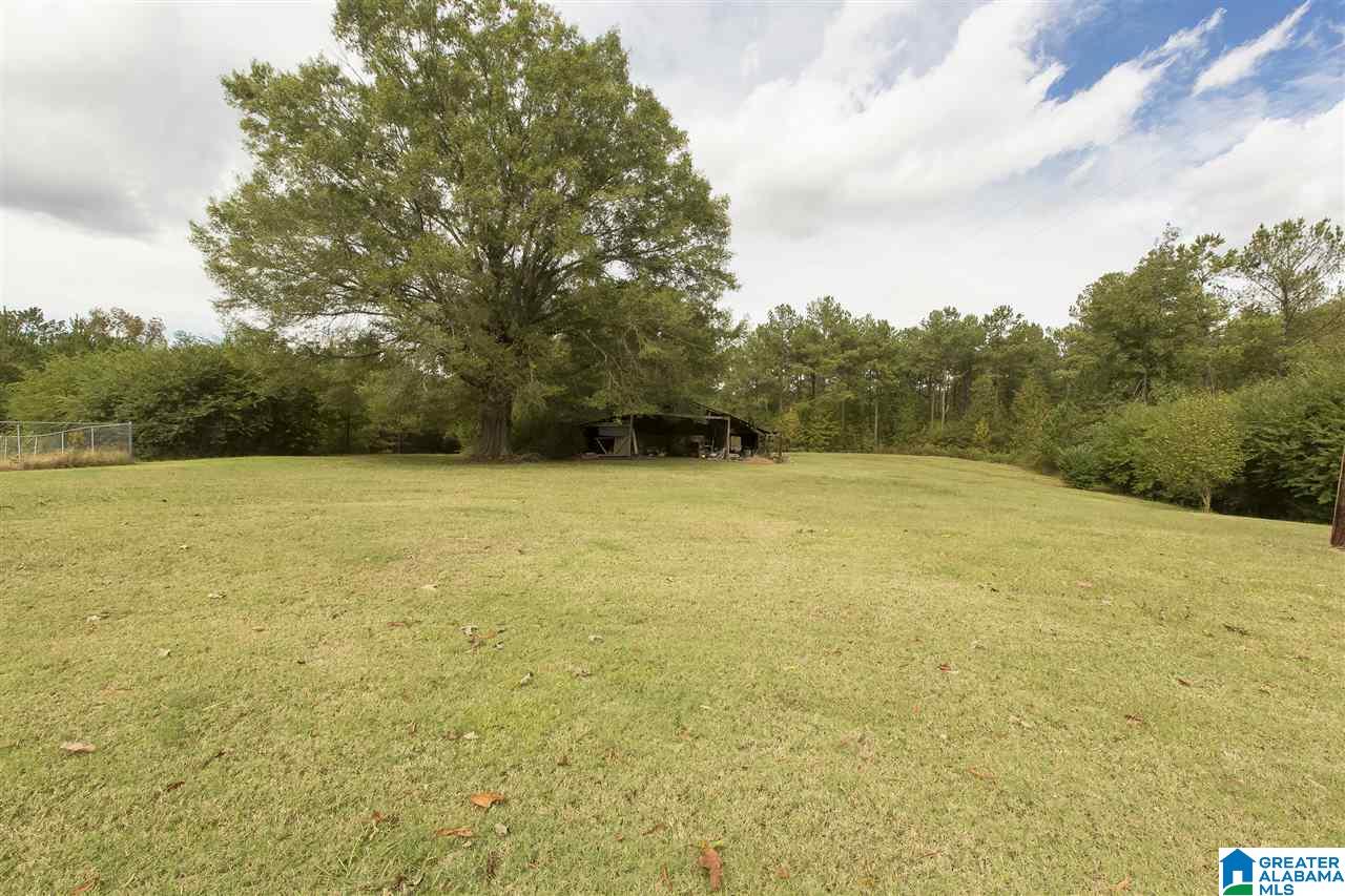 4525 Spunky Hollow Road Remlap, AL 35133 - Photo 5 of 22
