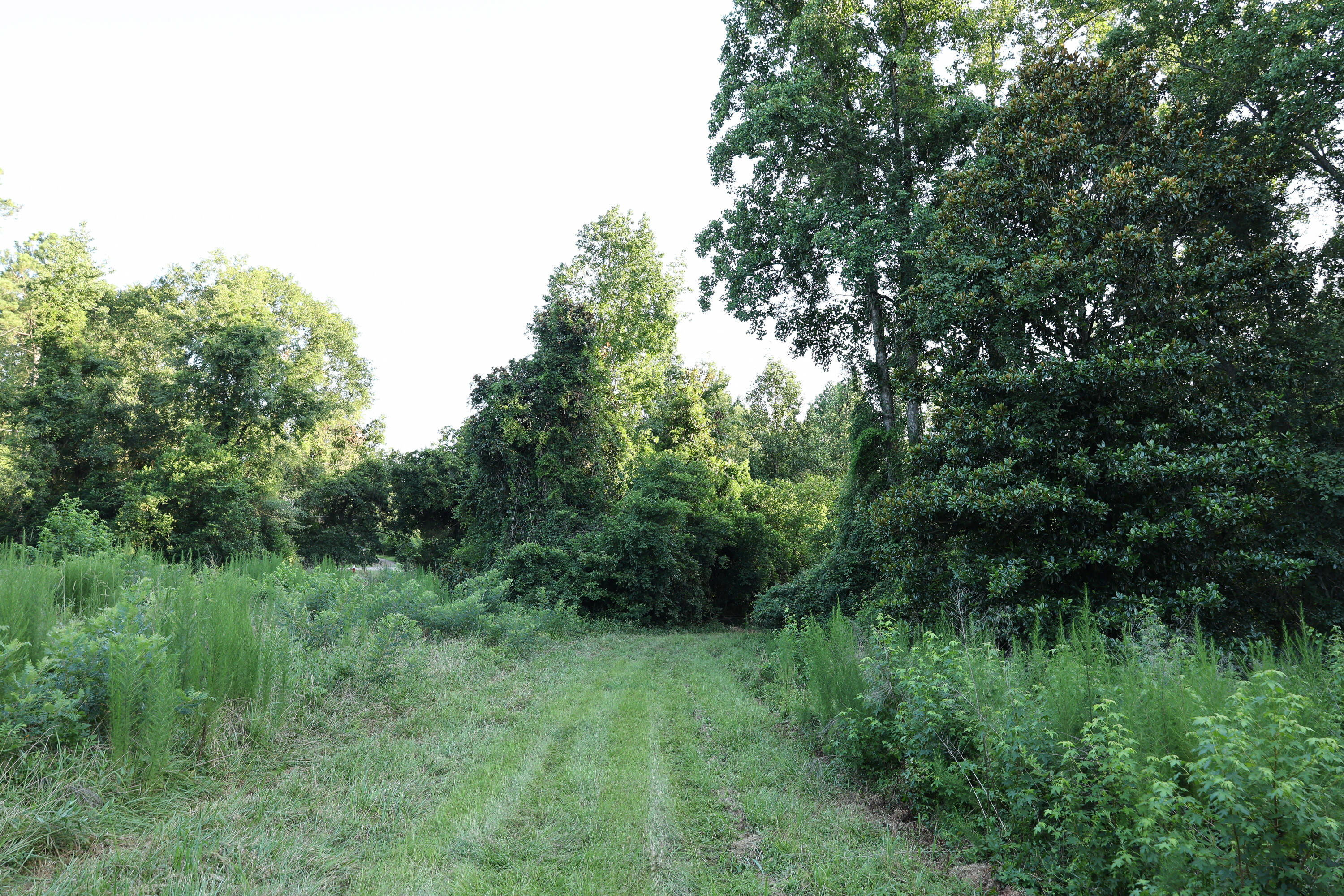 Tbd Glover Street Edgefield, SC 29824 - Photo 5 of 8