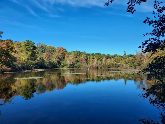 $440,000 | 1009 Fonger Street Northeast, Sparta, MI 49345