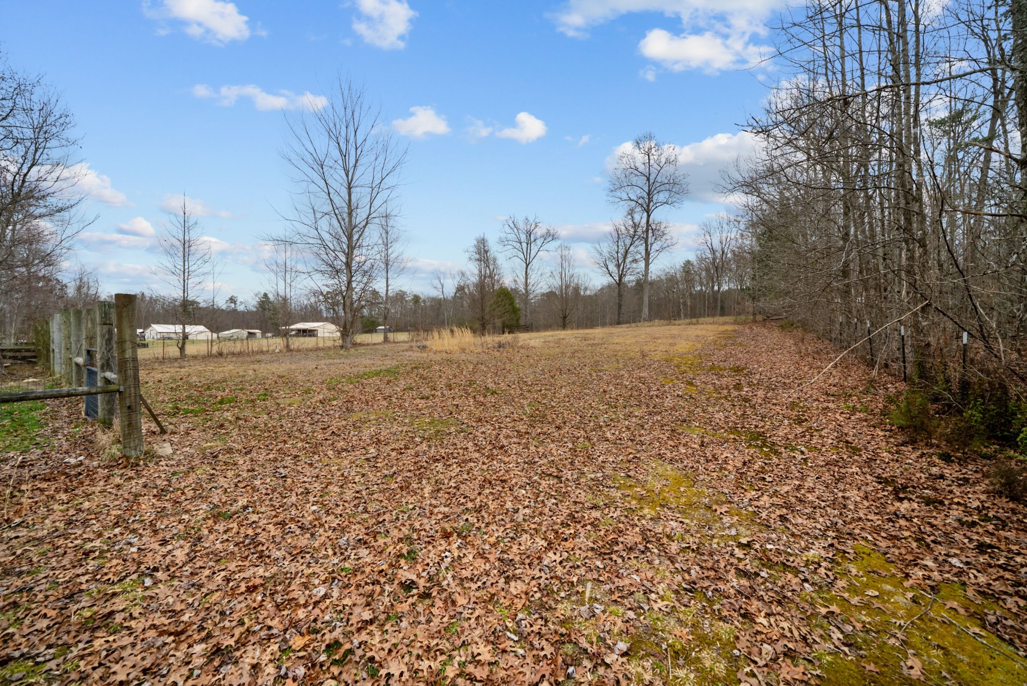 921 Fred Young Road Jamestown, TN 38556 - Photo 22 of 41