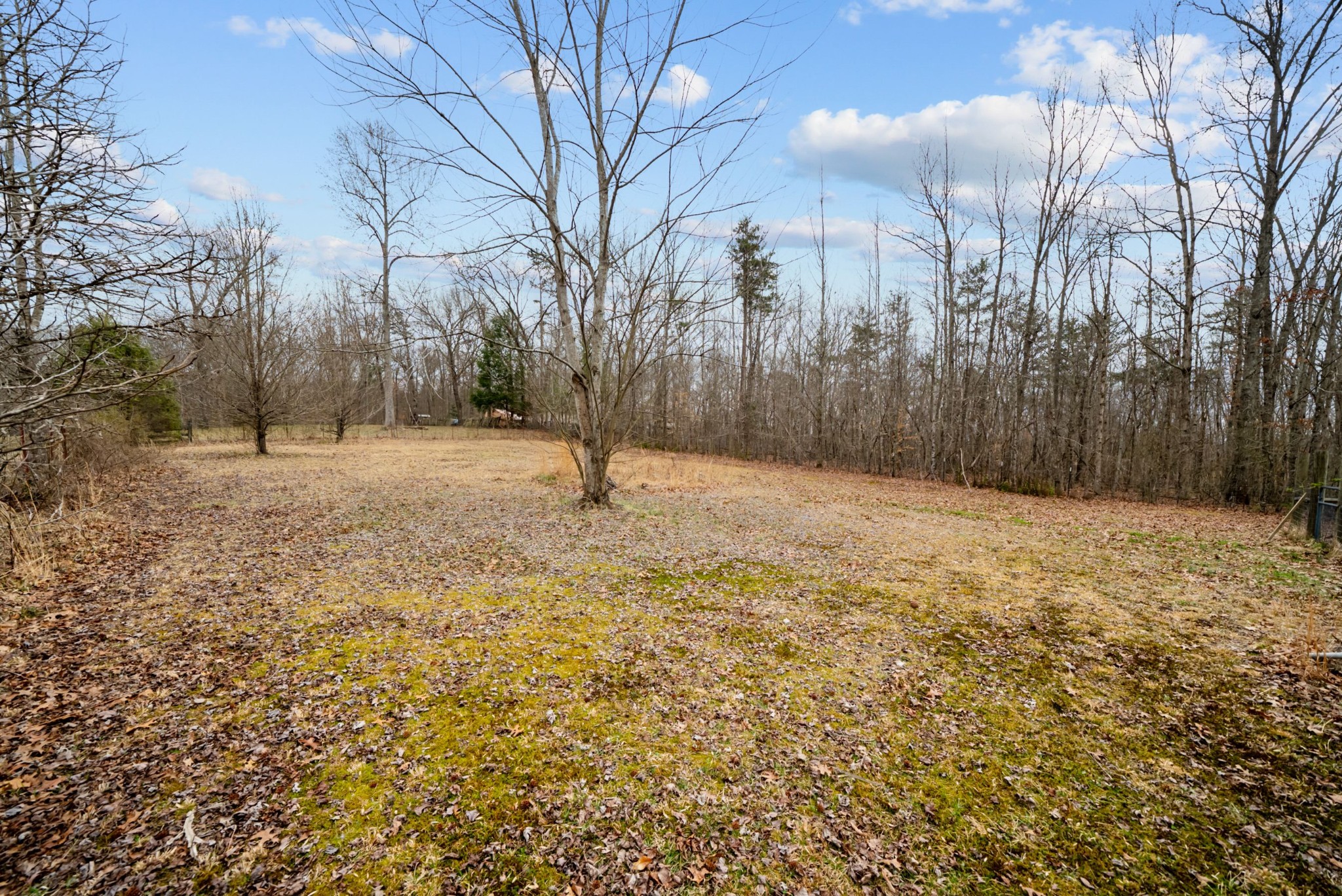 921 Fred Young Road Jamestown, TN 38556 - Photo 23 of 41