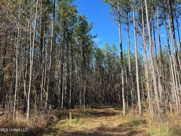 $399,900 | Coal Bluff Road, Lena, MS 39094