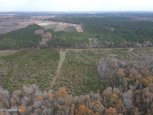 $399,900 | Coal Bluff Road, Lena, MS 39094