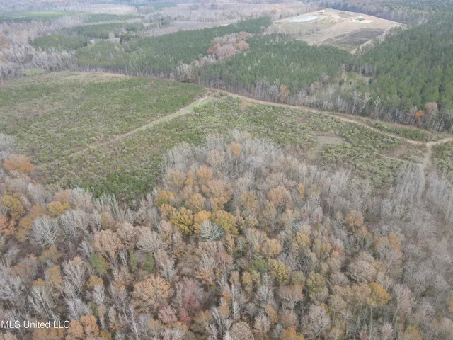 $399,900 | Coal Bluff Road, Lena, MS 39094