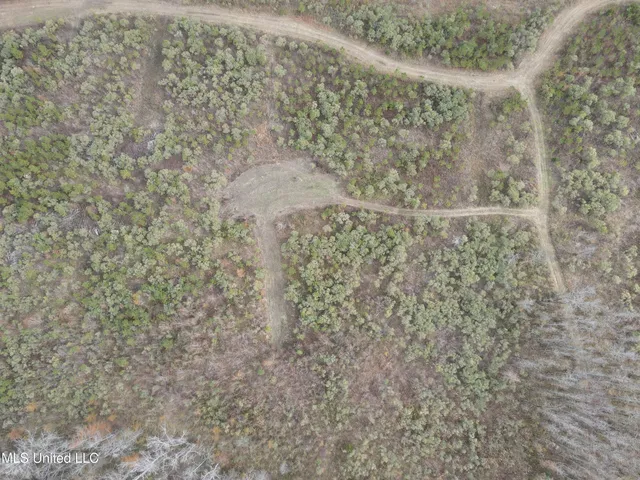 $399,900 | Coal Bluff Road, Lena, MS 39094