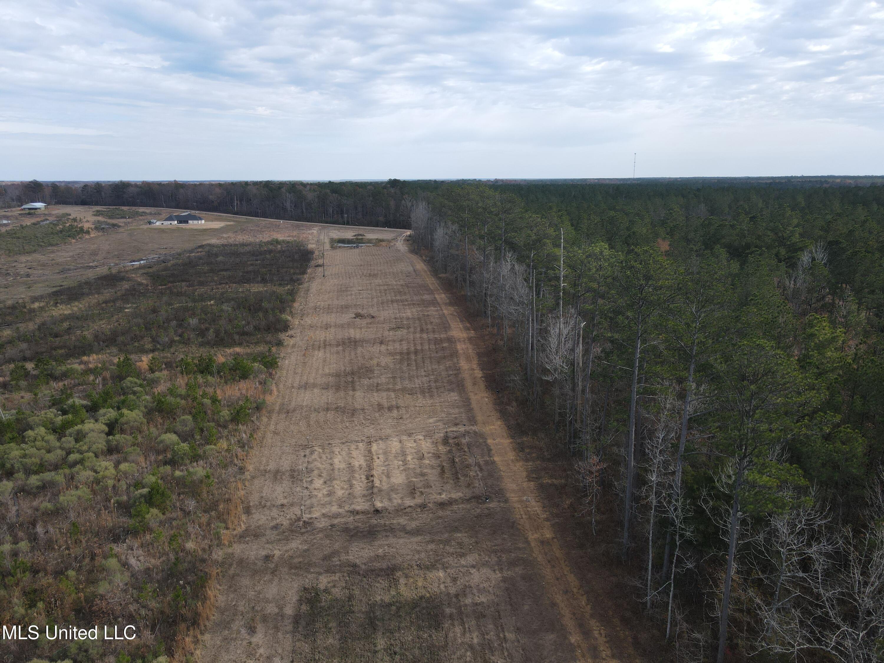 Coal Bluff Road Lena, MS 39094 - Photo 15 of 73 DJI_0794