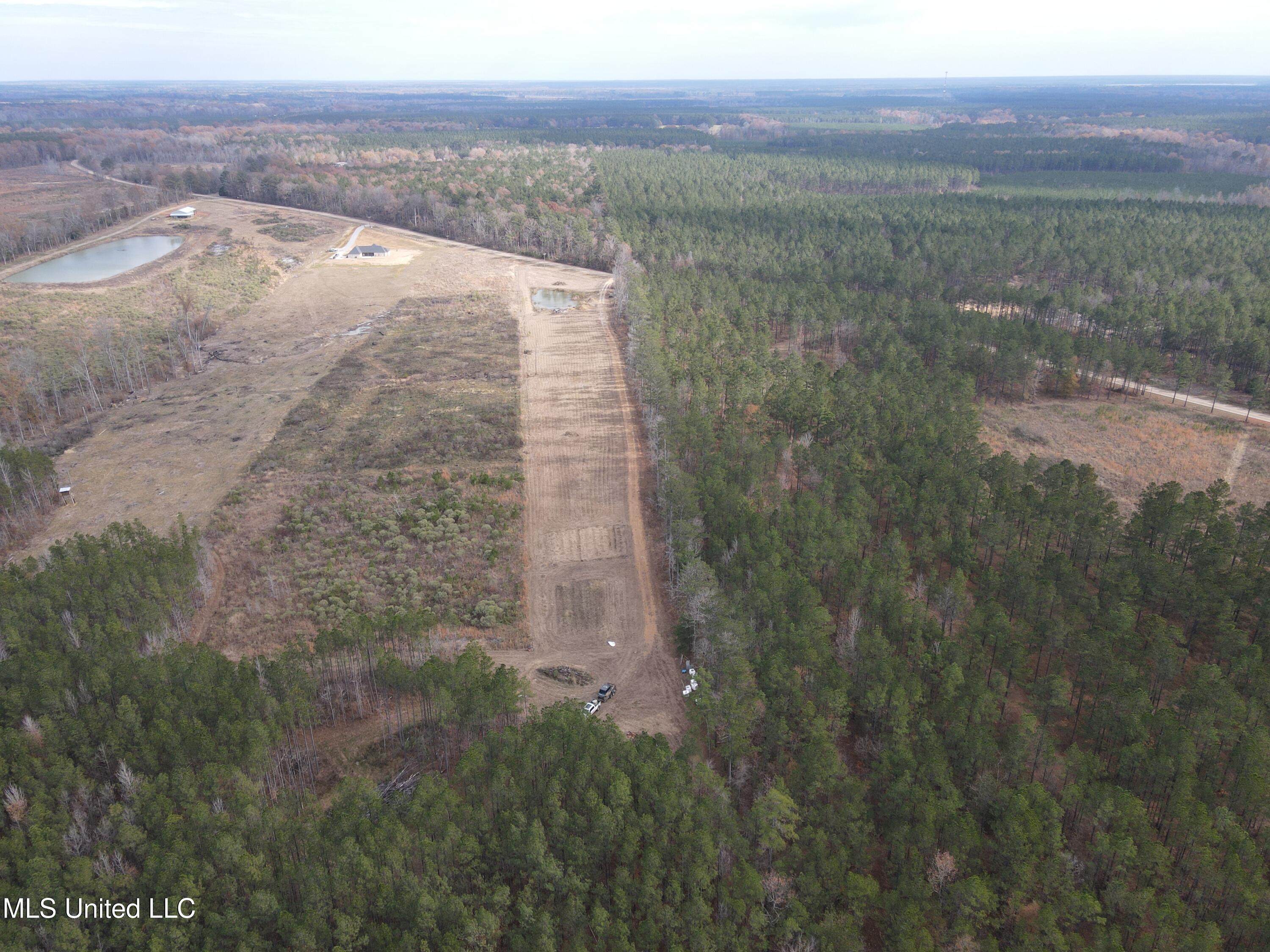 Coal Bluff Road Lena, MS 39094 - Photo 16 of 73 DJI_0808