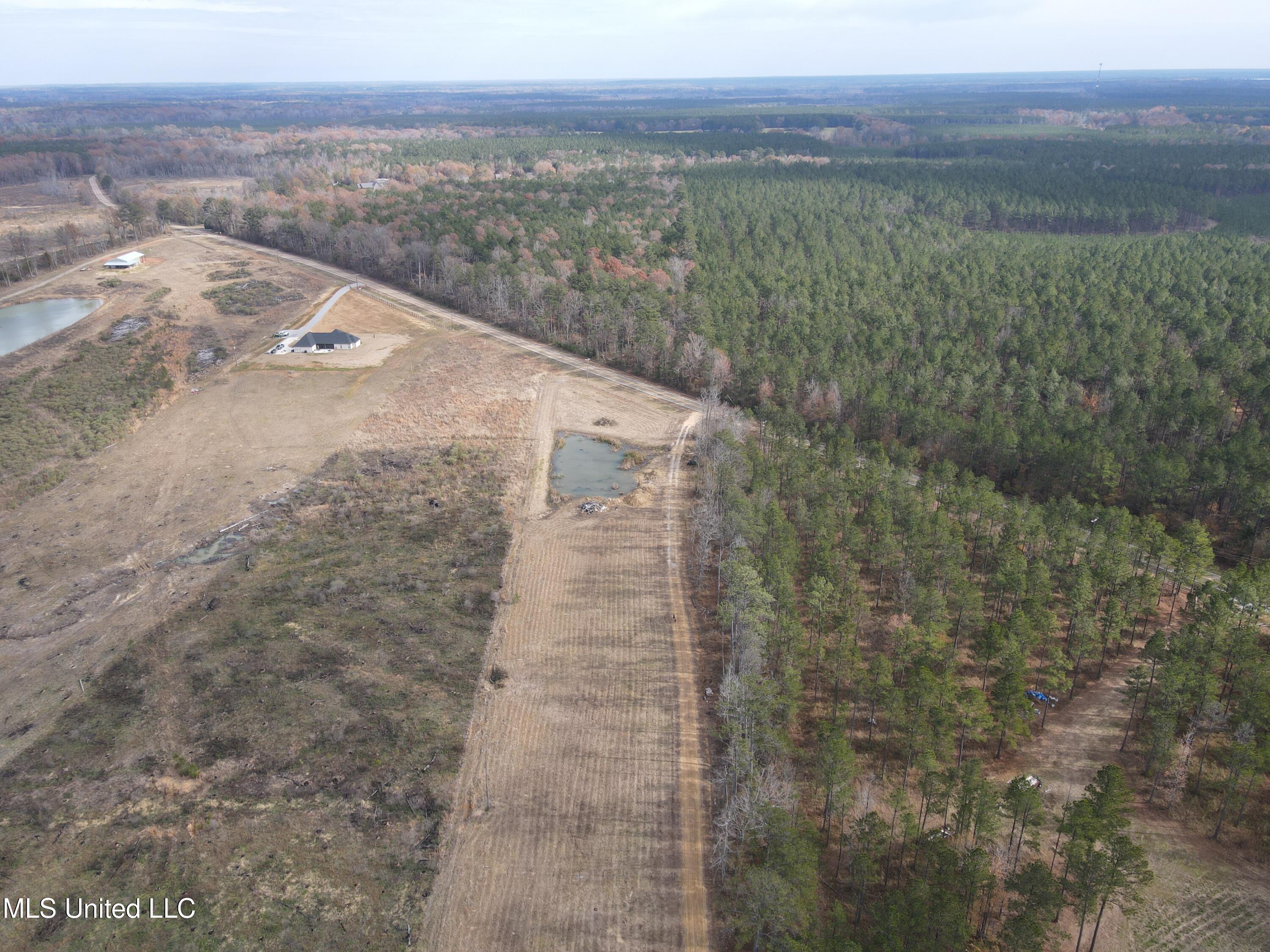 Coal Bluff Road Lena, MS 39094 - Photo 17 of 73 DJI_0809