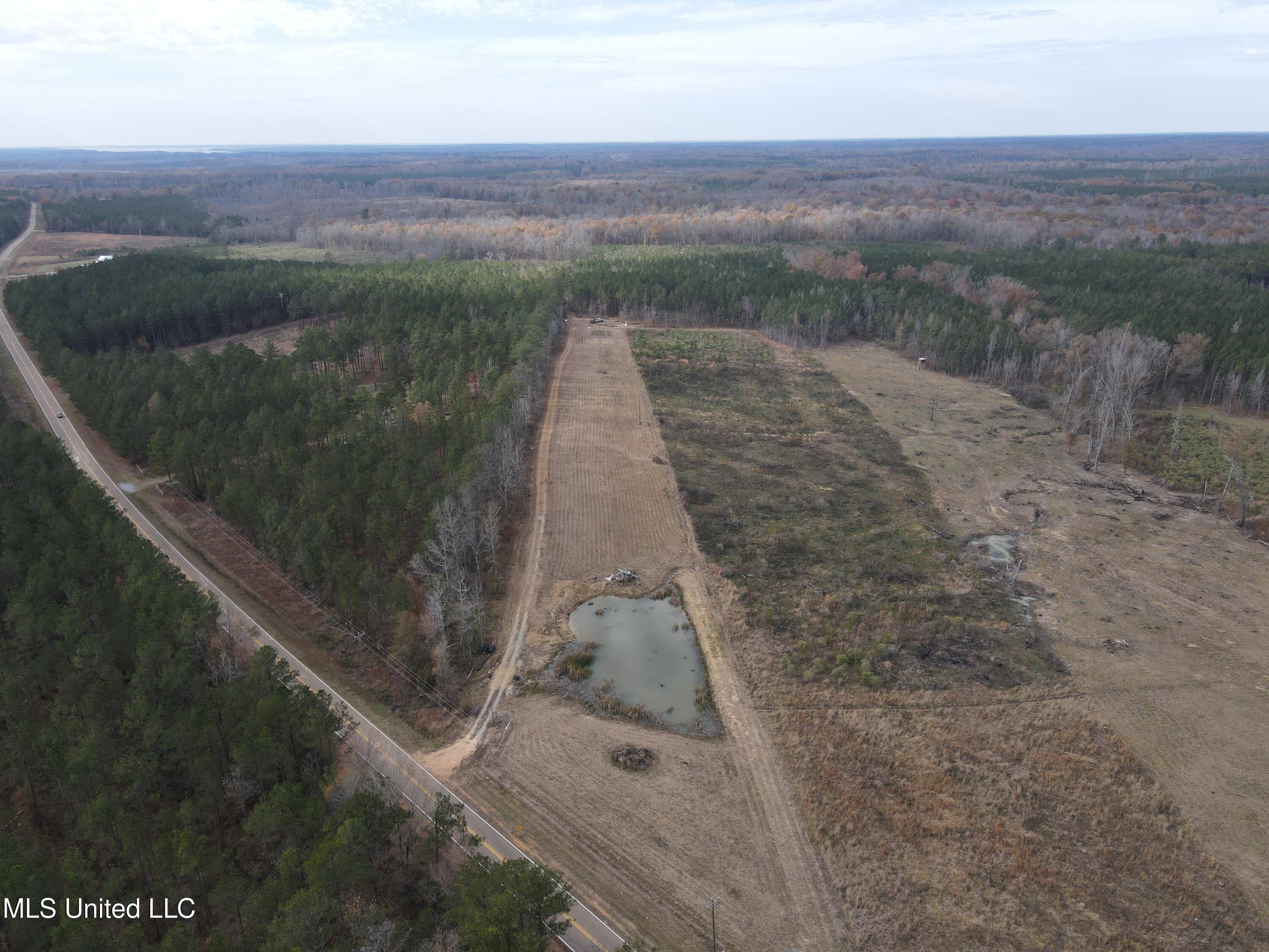 Coal Bluff Road Lena, MS 39094 - Photo 18 of 73 DJI_0810