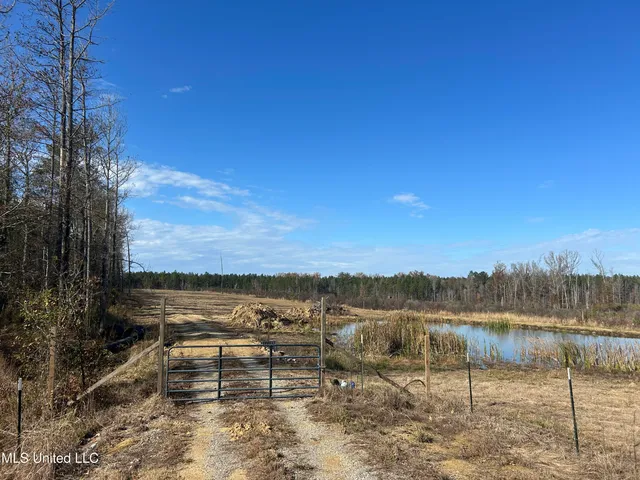 $399,900 | Coal Bluff Road, Lena, MS 39094