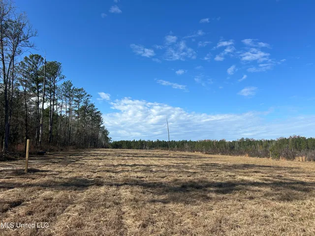 $399,900 | Coal Bluff Road, Lena, MS 39094