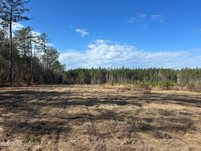 $399,900 | Coal Bluff Road, Lena, MS 39094