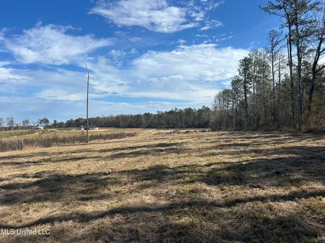 $399,900 | Coal Bluff Road, Lena, MS 39094