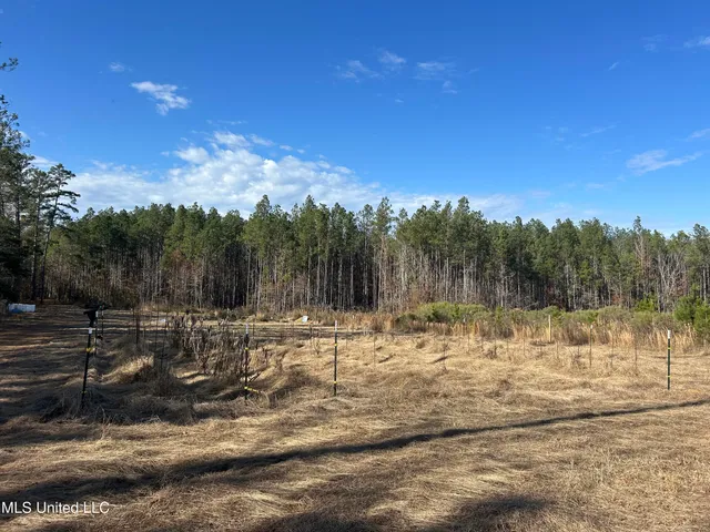 $399,900 | Coal Bluff Road, Lena, MS 39094