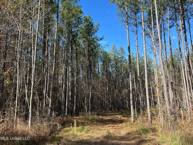 $399,900 | Coal Bluff Road, Lena, MS 39094