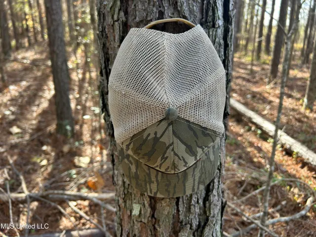 $399,900 | Coal Bluff Road, Lena, MS 39094