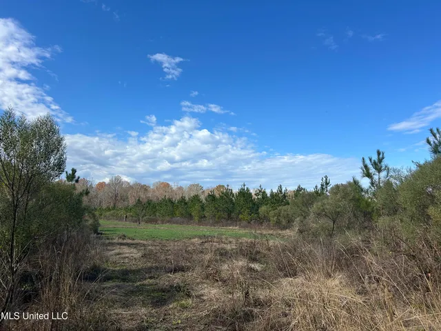 $399,900 | Coal Bluff Road, Lena, MS 39094