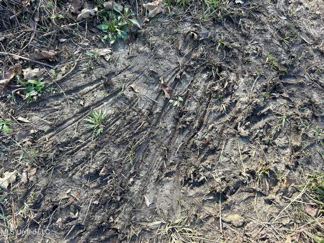 $399,900 | Coal Bluff Road, Lena, MS 39094