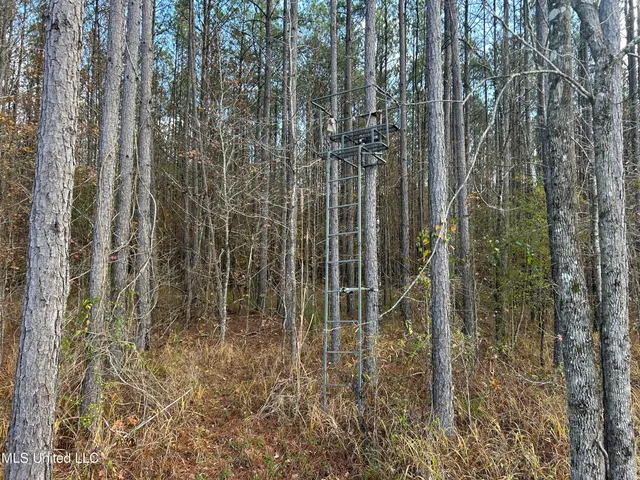 $399,900 | Coal Bluff Road, Lena, MS 39094