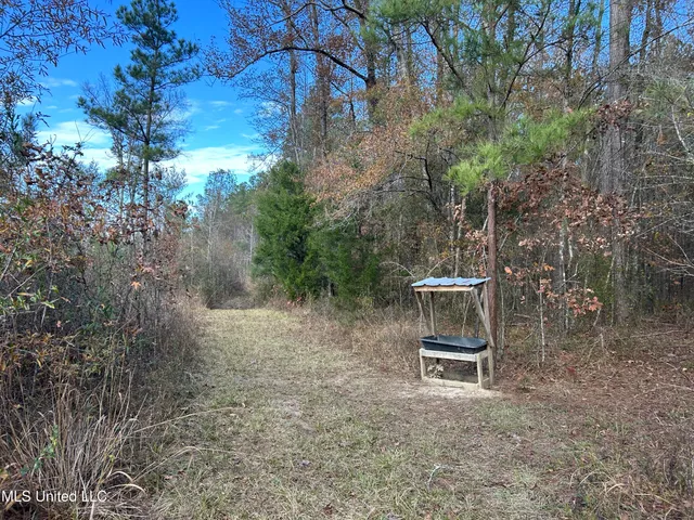 $399,900 | Coal Bluff Road, Lena, MS 39094