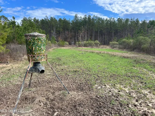 $399,900 | Coal Bluff Road, Lena, MS 39094