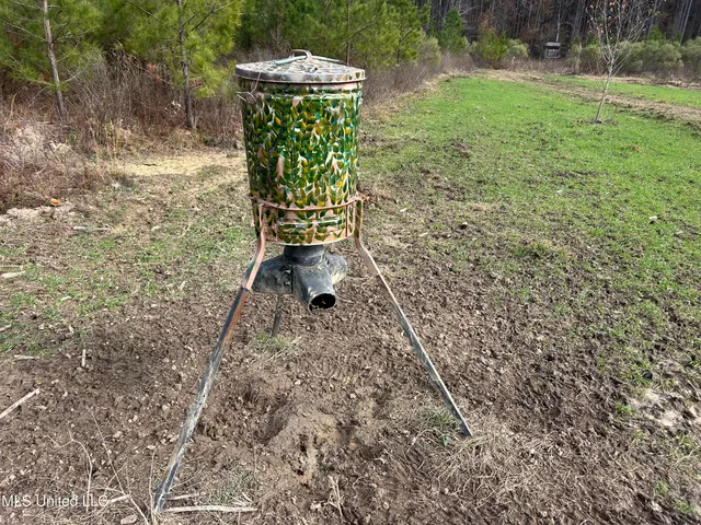 $399,900 | Coal Bluff Road, Lena, MS 39094