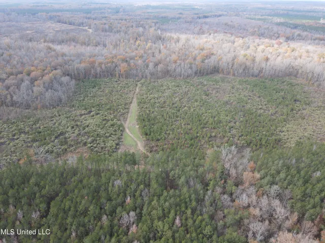 $399,900 | Coal Bluff Road, Lena, MS 39094