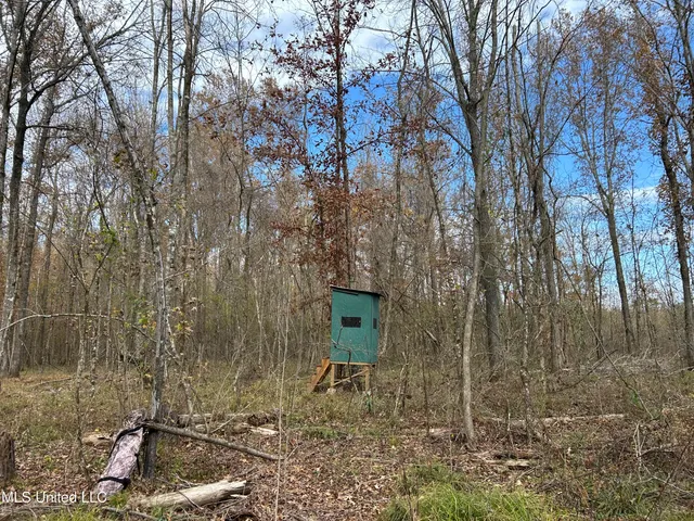 $399,900 | Coal Bluff Road, Lena, MS 39094